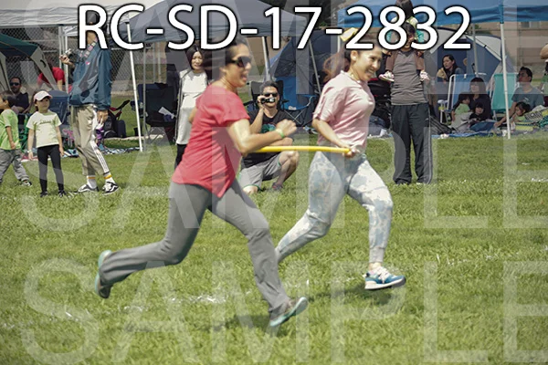 RC-SD-17-2832.jpg