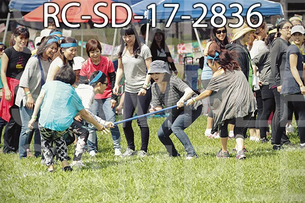 RC-SD-17-2836.jpg