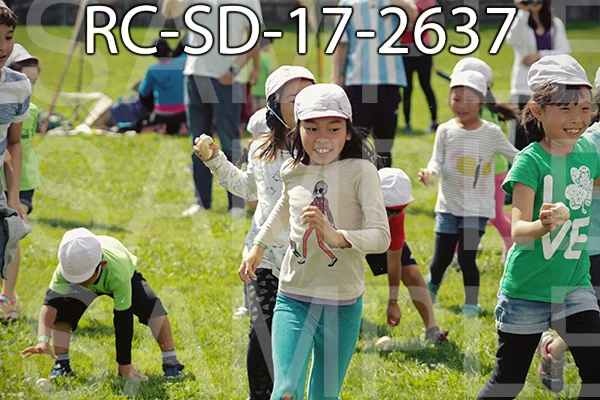 RC-SD-17-2637.jpg
