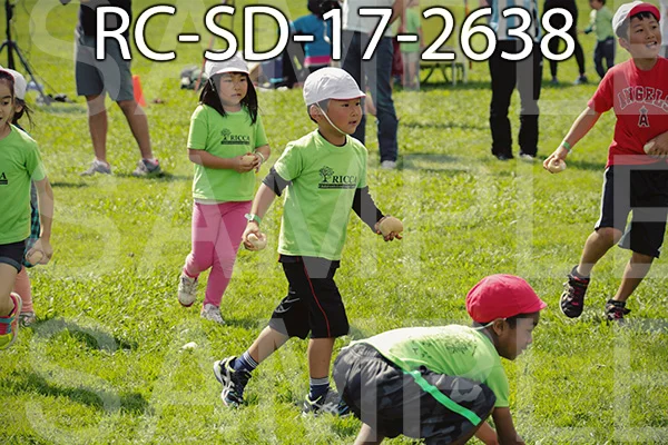 RC-SD-17-2638.jpg