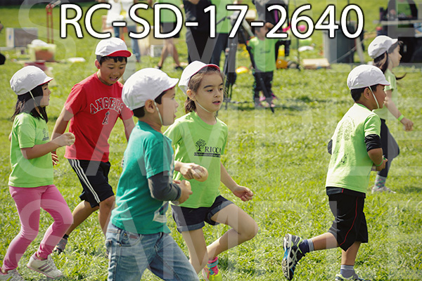 RC-SD-17-2640.jpg