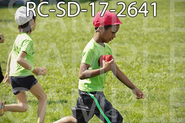 RC-SD-17-2641.jpg