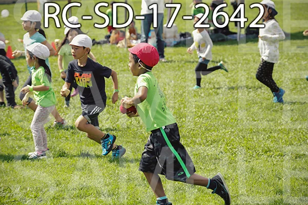 RC-SD-17-2642.jpg