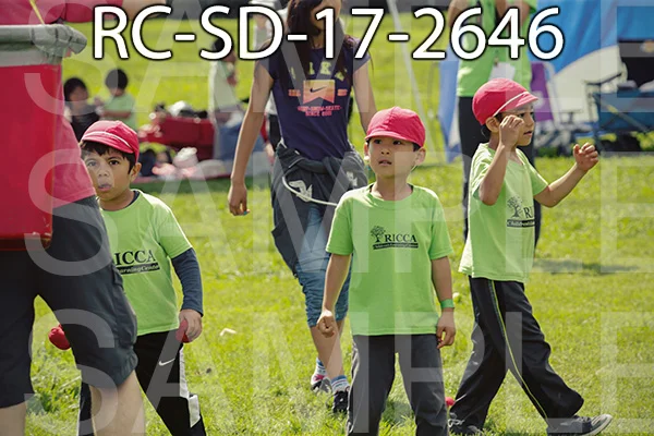 RC-SD-17-2646.jpg