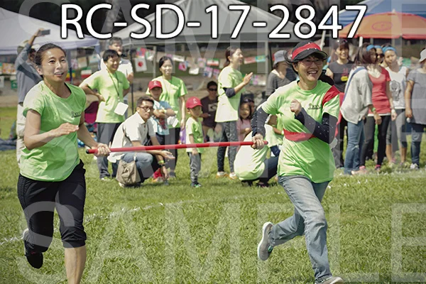 RC-SD-17-2847.jpg