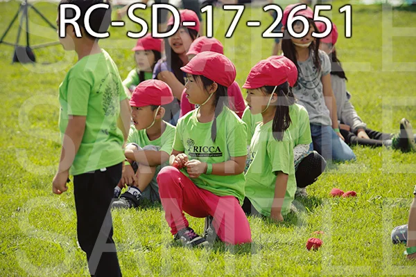 RC-SD-17-2651.jpg