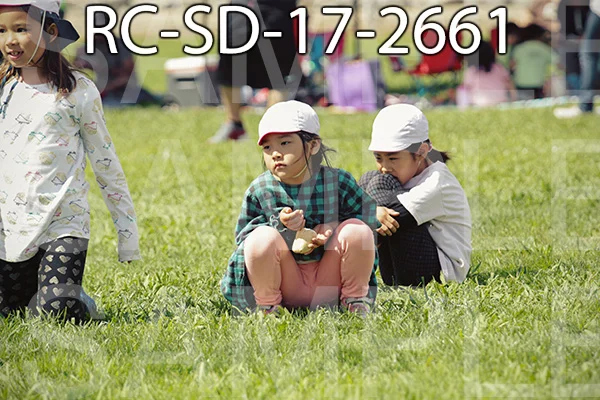 RC-SD-17-2661.jpg