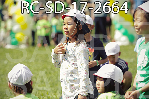 RC-SD-17-2664.jpg