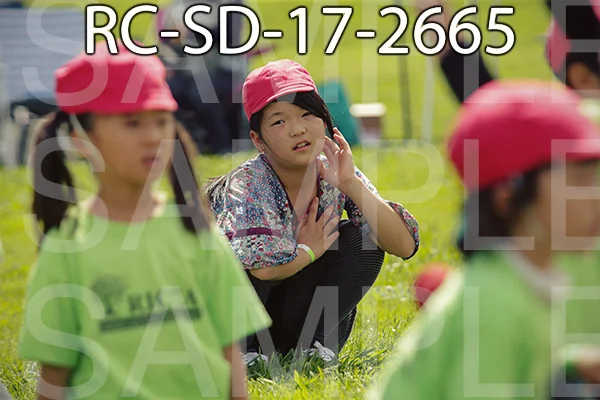 RC-SD-17-2665.jpg