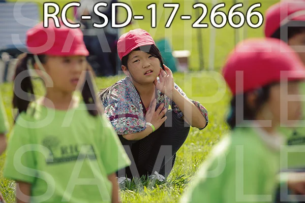 RC-SD-17-2666.jpg