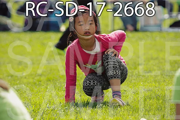 RC-SD-17-2668.jpg
