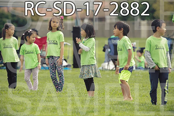 RC-SD-17-2882.jpg
