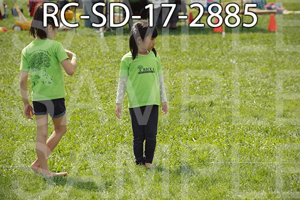 RC-SD-17-2885.jpg