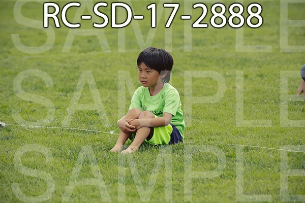 RC-SD-17-2888.jpg