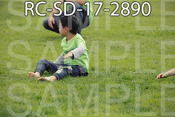 RC-SD-17-2890.jpg
