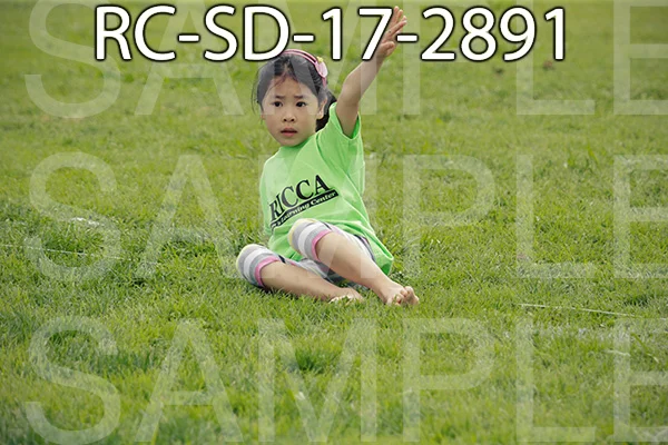 RC-SD-17-2891.jpg