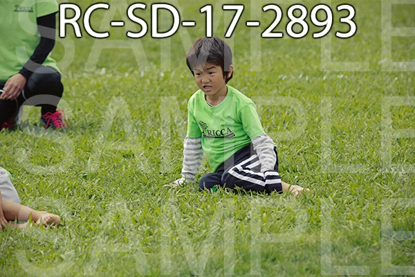 RC-SD-17-2893.jpg