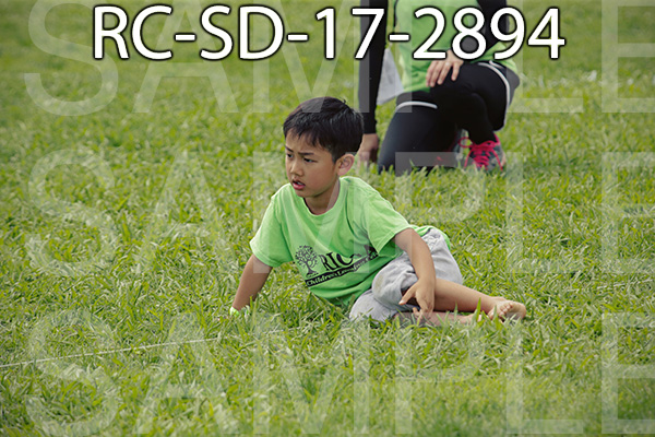 RC-SD-17-2894.jpg