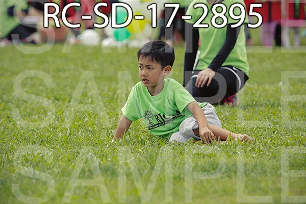 RC-SD-17-2895.jpg