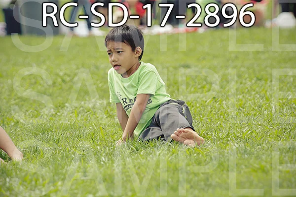 RC-SD-17-2896.jpg