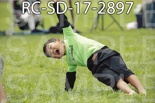 RC-SD-17-2897.jpg