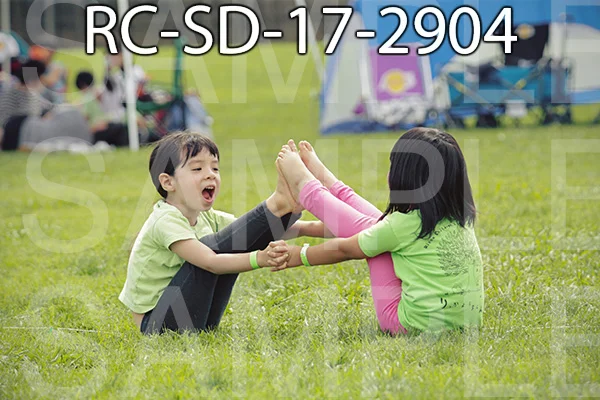 RC-SD-17-2904.jpg