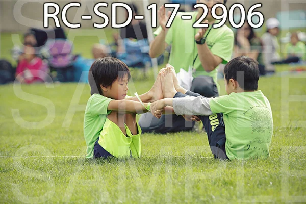 RC-SD-17-2906.jpg