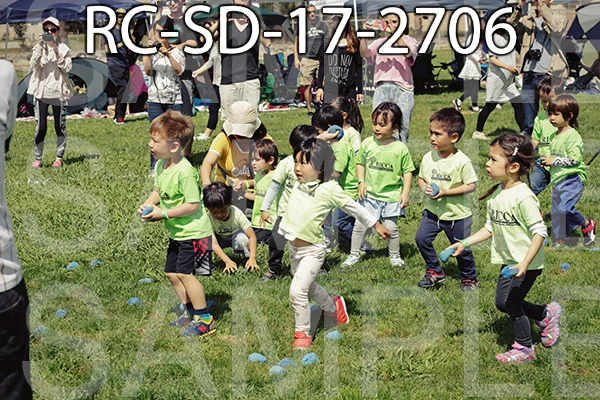 RC-SD-17-2706.jpg