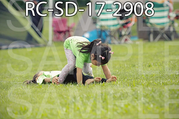 RC-SD-17-2908.jpg