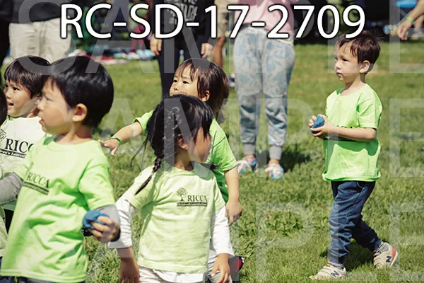 RC-SD-17-2709.jpg