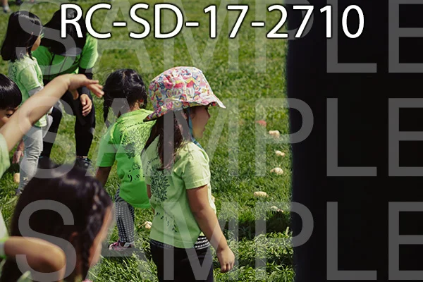 RC-SD-17-2710.jpg