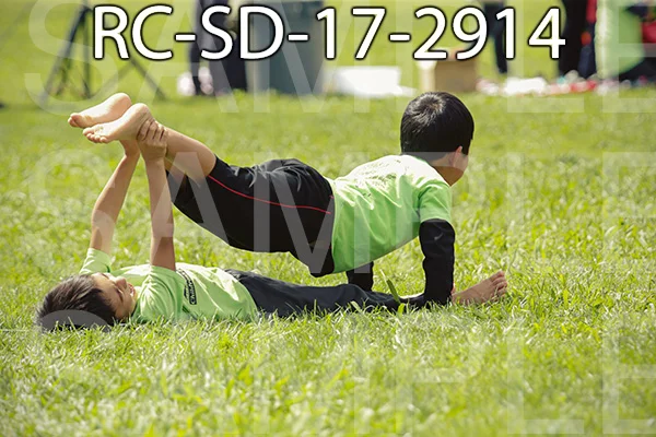 RC-SD-17-2914.jpg