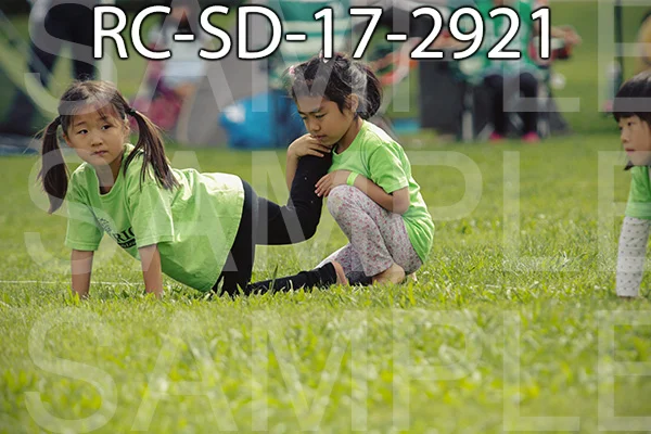 RC-SD-17-2921.jpg