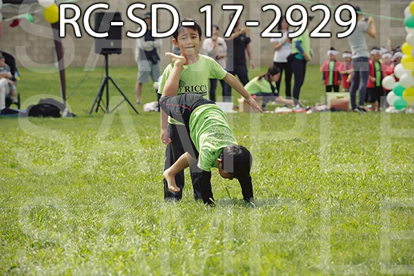 RC-SD-17-2929.jpg