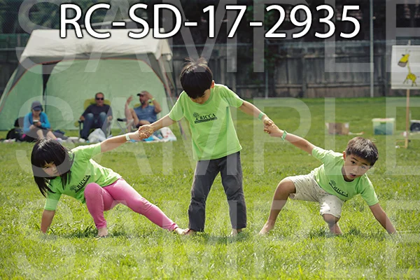 RC-SD-17-2935.jpg