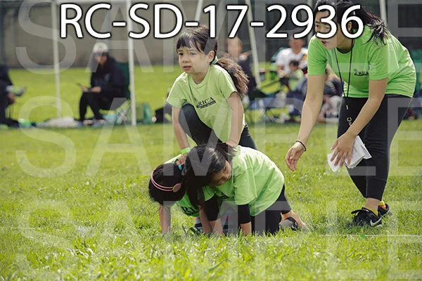 RC-SD-17-2936.jpg