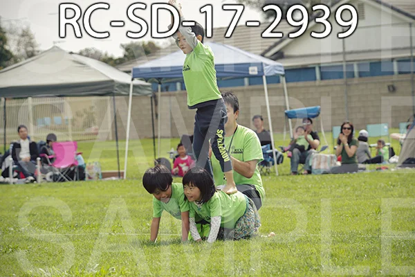 RC-SD-17-2939.jpg