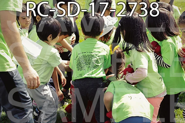 RC-SD-17-2738.jpg