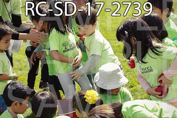 RC-SD-17-2739.jpg
