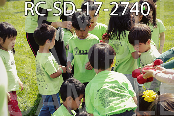 RC-SD-17-2740.jpg