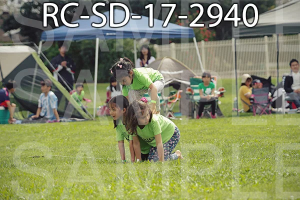RC-SD-17-2940.jpg