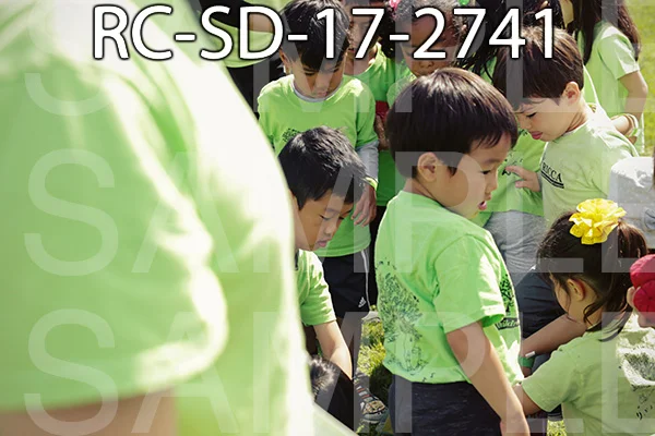 RC-SD-17-2741.jpg