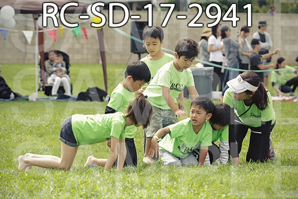 RC-SD-17-2941.jpg