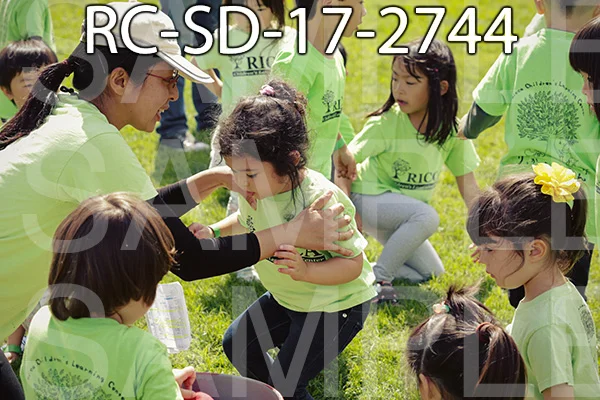 RC-SD-17-2744.jpg