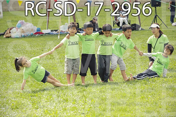 RC-SD-17-2956.jpg