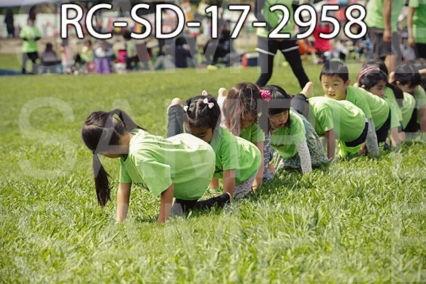 RC-SD-17-2958.jpg