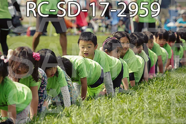 RC-SD-17-2959.jpg