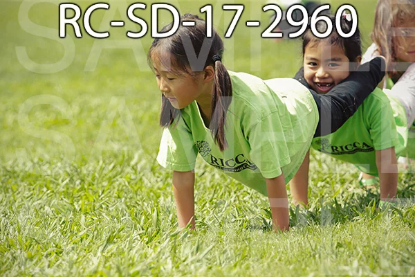 RC-SD-17-2960.jpg