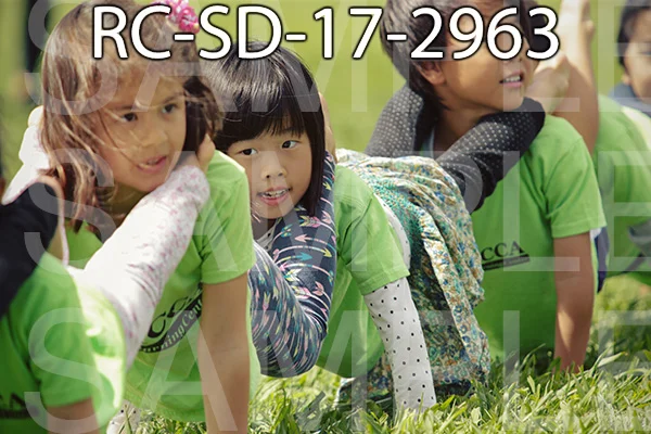 RC-SD-17-2963.jpg