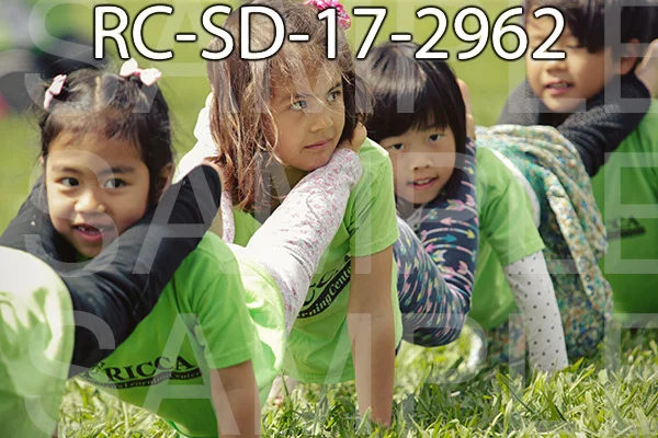 RC-SD-17-2962.jpg